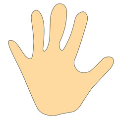 hand palm vector icon