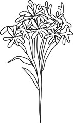 Fototapeta na wymiar Hand drawn flora illustration on transparent background.