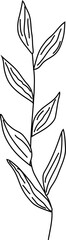 Hand drawn leaves illustration, Transparent background	