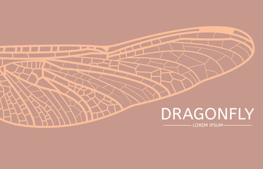 Detailed close-up view of a dragonfly wing. Horizontal banner design, lace patterns of insect wing. Nature and wildlife banner. Place for text. © designisfine
