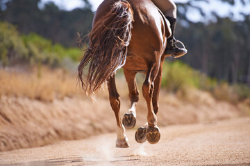 Person, horse and running for horseback riding in texas, countryside and sport training. Farm,...