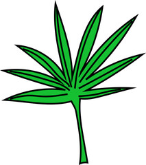 Hand drawn leave illustration, Transparent background	
