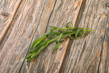 Green tarragon herb spice for cooking