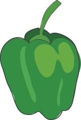 Hand drawn sweet pepper illustration on transparent background.
