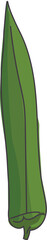 Naklejka premium Hand drawn pepper illustration on transparent background. 