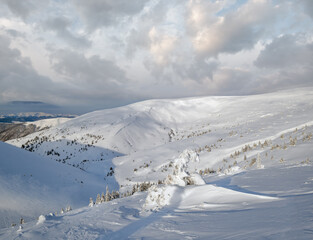 Fototapeta premium Snow covered fir trees on snowy mountain plateau, tops with snow cornices in far. Magnificent sunny day on picturesque beautiful alps ridge.
