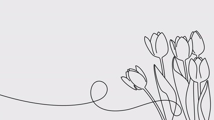 Continuous one line drawing of beautiful spring flowers graphic animation. Alpha channel. Single line art bouquet of pink tulips on transparent background motion design. 4K resolution