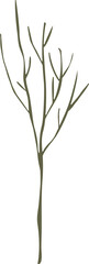 Trees silhouette green illustration on transparent background.
