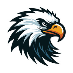Fototapeta premium bird eagle hawk head logo mascot design vector illustration isolated on white background