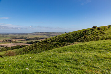 Looking out over the South Downs on a sunny September day