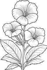 Hand-drawn petunia flower coloring page, black and white vector illustration