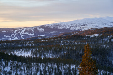Winter Serenity: Norefjell's Snowy Landscape