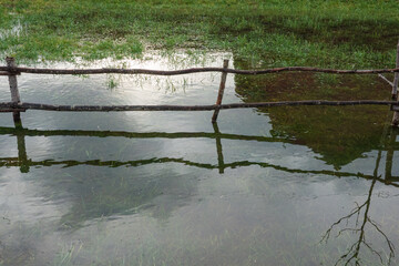 A primitive fence made of rough poles sits in a flooded ditch. Grass is visible under the surface of the water. There is a reflection of a house and a tree without leaves. Background.