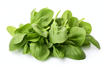 Fototapeta premium Mache (Lamb's Lettuce) isolated on white background created with Generative Ai