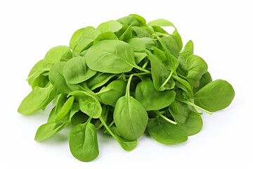 Fototapeta premium Mache (Lamb's Lettuce) isolated on white background created with Generative Ai