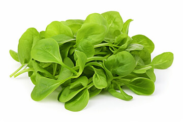 Fototapeta premium Mache (Lamb's Lettuce) isolated on white background created with Generative Ai
