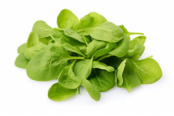 Fototapeta premium Mache (Lamb's Lettuce) isolated on white background created with Generative Ai