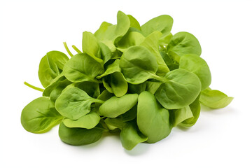 Fototapeta premium Mache (Lamb's Lettuce) isolated on white background created with Generative Ai