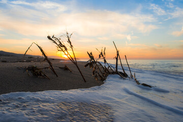 Sunset at the beautiful beach, Wooden tree trunk on the sea coast with sunset, sky and clouds, view from Sea landscape in the Mediterranean sea in Jijel Algeria Africa, golden sunlight.