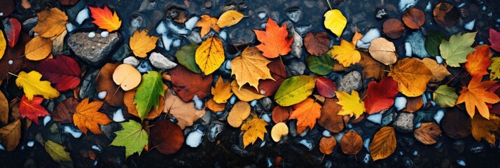 autumn leaves background