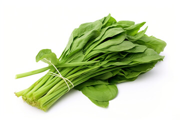 Water Spinach (Kangkong) isolated on white background created with Generative Ai