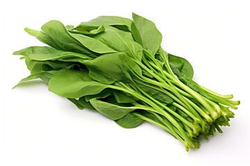 Water Spinach (Kangkong) isolated on white background created with Generative Ai - obrazy, fototapety, plakaty