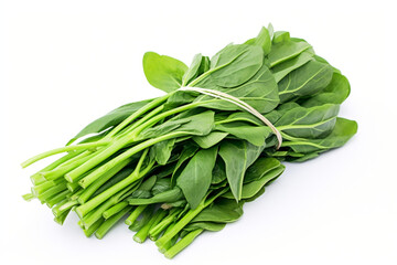 Water Spinach (Kangkong) isolated on white background created with Generative Ai