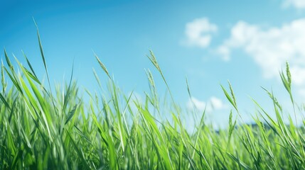 Fototapeta premium plant green texture background illustration eco sustainable, organic fresh, vibrant lush plant green texture background