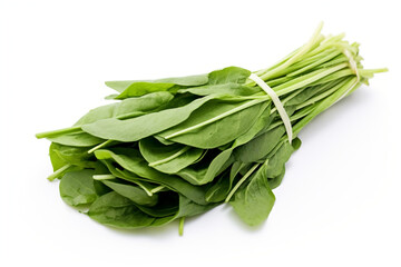 Water Spinach (Kangkong) isolated on white background created with Generative Ai