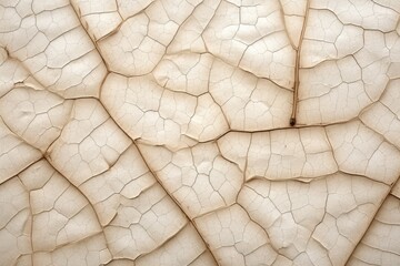 texture of dried leaves with cracks top view.  - obrazy, fototapety, plakaty