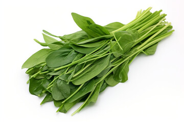 Fototapeta premium Water Spinach (Kangkong) isolated on white background created with Generative Ai