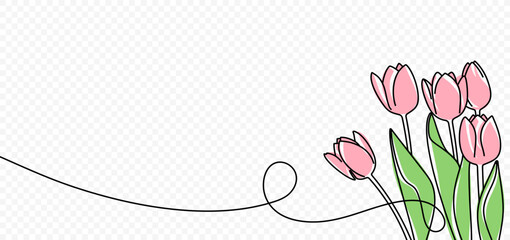 Continuous one line drawing of beautiful spring flowers vector design. Single line art illustration bouquet of pink tulips on transparent background - obrazy, fototapety, plakaty