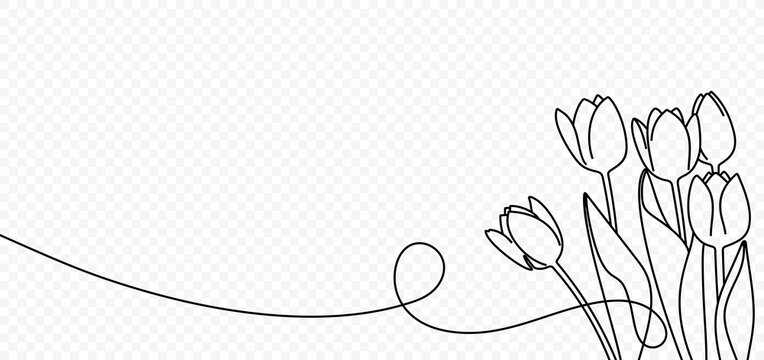 Continuous one line drawing of beautiful spring flowers vector design. Single line art illustration bouquet of tulips on transparent background