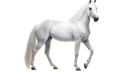 Obraz na płótnie Canvas A majestic mustang mare with a flowing white mane gazes into the distance, her powerful snout exuding grace and strength as she stands tall among the other animals