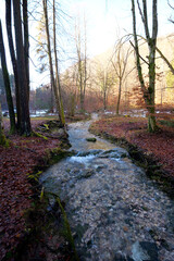Ein klarer Bach fließt im Herbstwald
