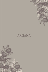 Argan vertical template boho card hand drawn plant  vector illustration. Background border Argana tree engraved with argania leaves, fruits for label, print, design logo wrapping label. Food, cosmetic
