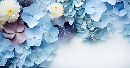 Hydrangea background copy space blue background Floral background delicate composition for greeting cards, isolated flowers on a blue background. Copy space