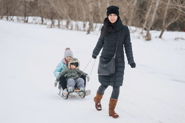 Fototapeta na wymiar A young woman, a beautiful brunette girl, a mother, rides her children, a little boy, her son, and a girl, her daughter, on a sled in the snow in winter. Photography, portrait, happy family concept.