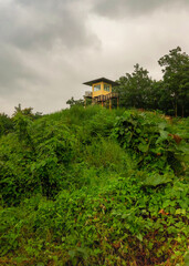 A surveillance post located on the top of the lush green mountain ridge amid the monsoon-cloudy sky. A yellow hut is located in a remote location somewhere within a deep dense rainforest. India