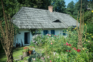 Fototapeta na wymiar drewniane domy wiejskie z początku dwudziestego wieku