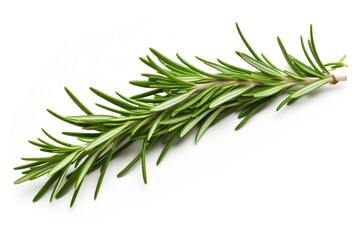 Rosemary isolated on white background created with Generative Ai