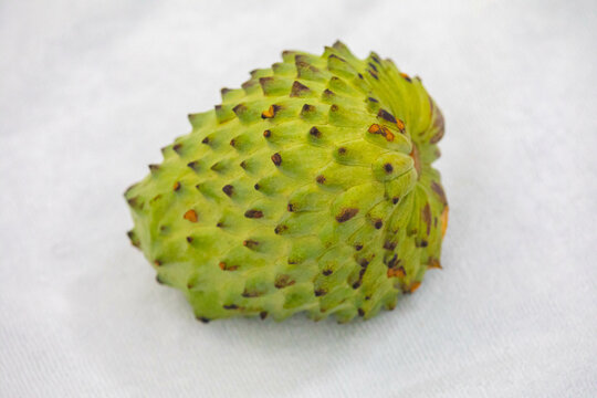 Ripe atemoya fruit isolated in selective focus (Annona &times; atemoya)