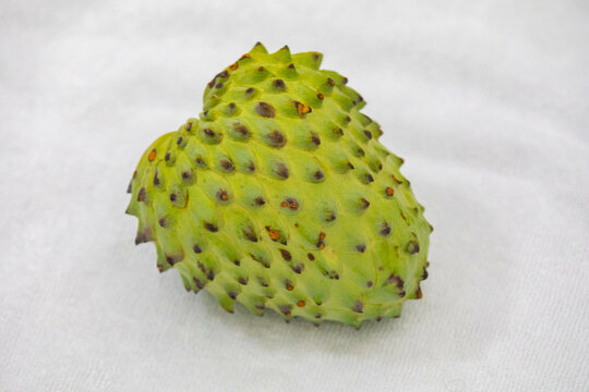 Ripe atemoya fruit isolated in selective focus (Annona &times; atemoya)