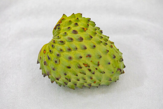 Ripe atemoya fruit isolated in selective focus (Annona &times; atemoya)