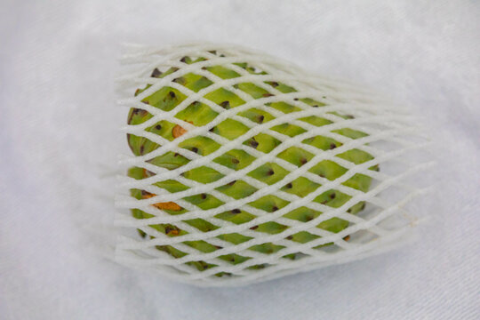 Ripe atemoya fruit isolated in selective focus (Annona &times; atemoya)