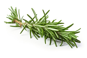 Fototapeta premium Rosemary isolated on white background created with Generative Ai