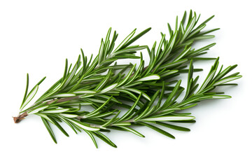 Fototapeta premium Rosemary isolated on white background created with Generative Ai
