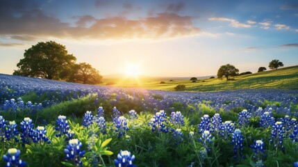 Sweeping panorama of a lovely bluebonnet-filled grassy field, Generative AI. - obrazy, fototapety, plakaty