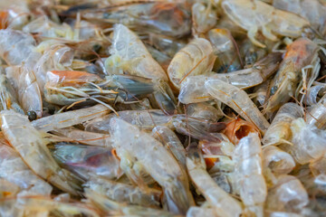Shrimp shells and heads in fine detail