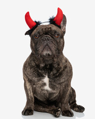 adorable french bulldog puppy wearing red devil horns headband